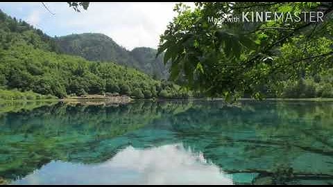 سورةالإخلاص من القرآن الكريم للقارئء:يحيى حوى