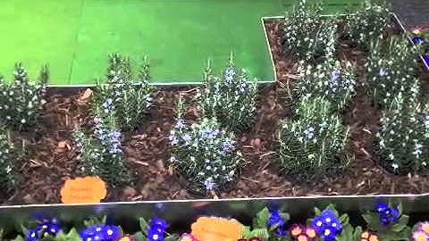 Garden Edging with Metal Profiles Video from FormBoss