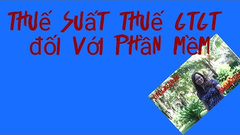 Phần mềm là đối tượng hàng hóa không chịu thuế năm 2024