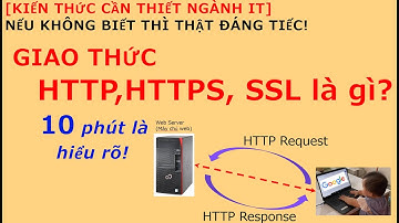 Giao thức HTTP, HTTPS, SSL là gì? giải thích dễ hiểu nhất