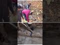 राम मंदिर प्राण प्रतिष्ठा के अवसर पर मंदिरों में स्वच्छता अभियान के आह्वान पर मंदिर मे सफाई की गई
