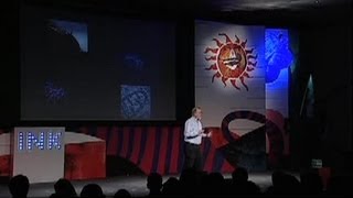 картинка: Кевин Келли: Седьмое царство жизни