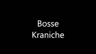 Vignette de la vidéo "Bosse -  Kraniche"