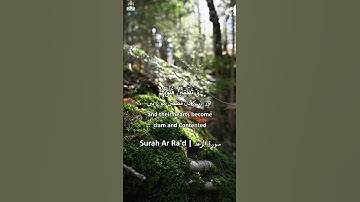 Surah Ar Ra'd (13:28) | سورة الرعد 🕊️