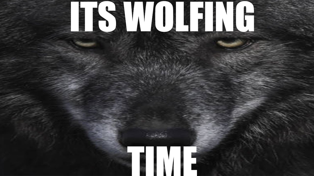 BIG BLACK WOLF (ISEX8) arknights YouTube