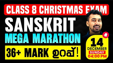 Class 8 Sanskrit Christmas Exam | Full Chapter Marathon | Exam Winner