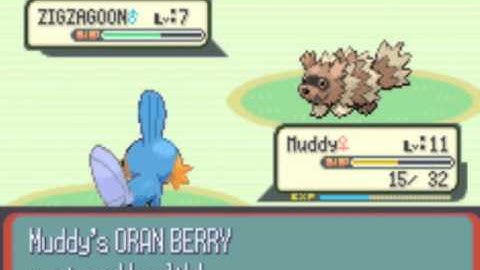 Pokemon Ruby Walkthrough part 4