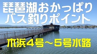 琵琶湖おかっぱりポイント 木浜4-5号水路
