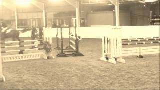Winter Dressage and Showjumping 2014 | Annabel Carthy and Kilfaissey Breeze