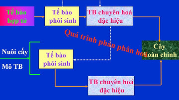 Bài 6 ỨNG DỤNG CÔNG NGHỆ NUÔI CẤY MÔ TẾ BÀO TRONG NHÂN GIỐNG CÂY TRỒNG NÔNG, LÂM NGHIỆP