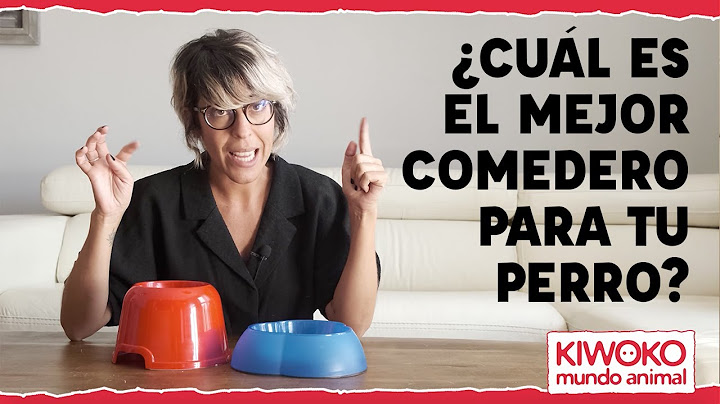 ¿Cuál es el mejor comedero para perros?🐶