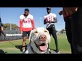 49ers Welcome Military Veterans and Service Dogs for Practice Visit