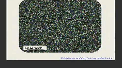 Next-Generation Sequencing Technologies - Elaine M...