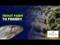 Fly Fishing UK - Bibury Trout Farm - Bransford Fishery - Buzzer Fishing - Damsel Fly - Diawl Bach