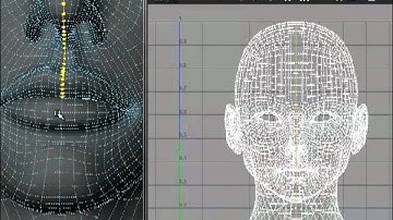 Create a UV map for a head model
