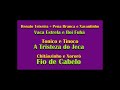 Ritmos Brasileiros 01 // Moda de Viola - Sertanejo Raiz - Música Caipira (MPB Collection)