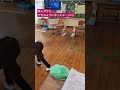 一年生3学期 雑巾がけができるようになってたよ#ダウン症#ダウン症男の子#ダウン症セラピスト#雑巾がけ#成長