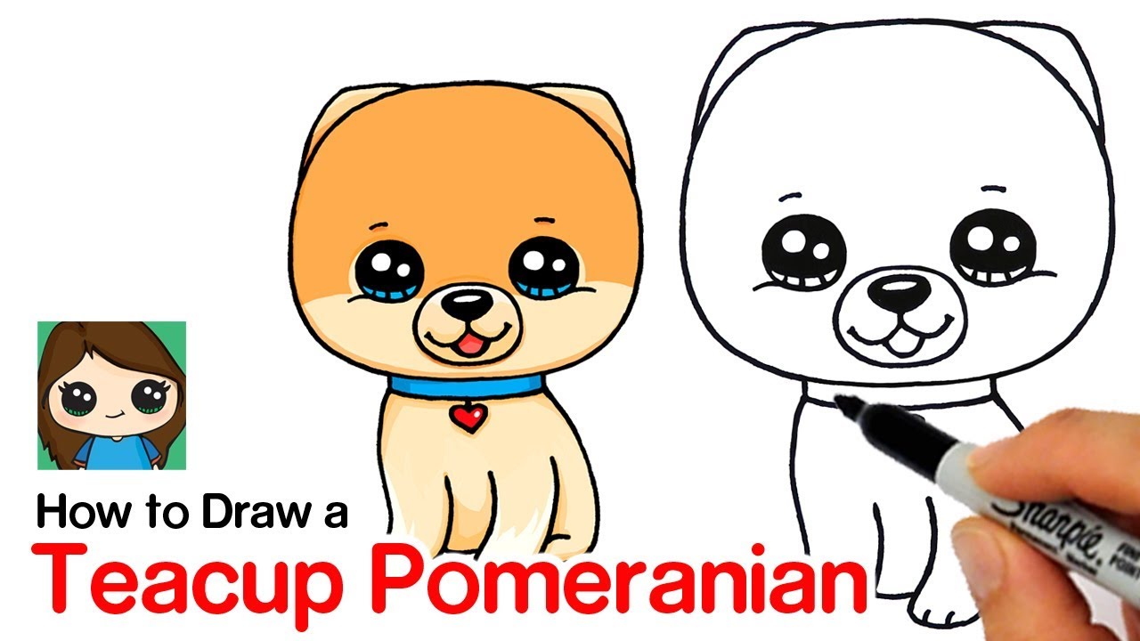 How to Draw a Pomeranian | Boo World's Cutest Dog