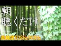 【朝に聴くだけ】528Hz+963Hz+4096Hz いい事が次々と起こる高純度ソルフェジオ周波数 自律神経の乱れの改善と右脳の癒し #開運 #奇跡の周波数 #ヒーリングミュージック #竹林 #瞑想