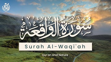 سورة الواقعة - الشيخ مشاري راشد العفاسي | Surah Al-Waqi'ah - Mishary Alafasy