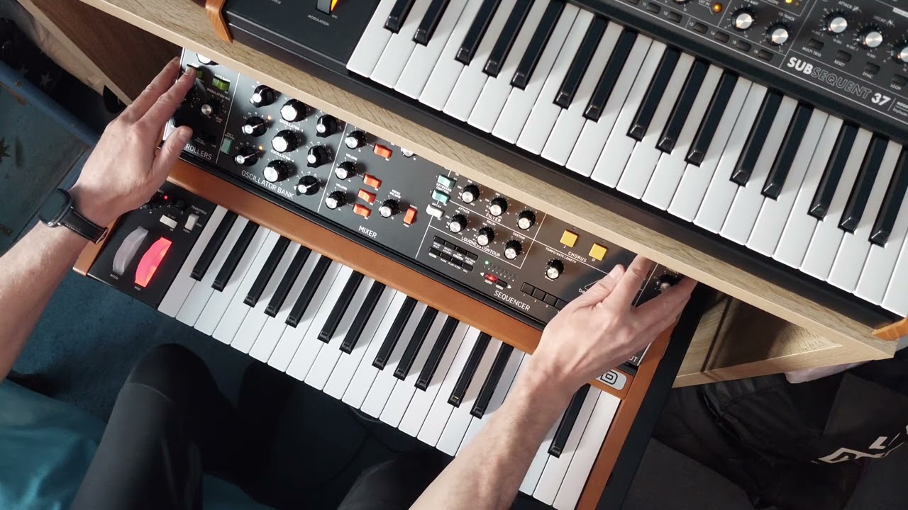 Behringer Poly D Arps | Eric Prydz Beautiful Opus | Erica Synths Zen Delay