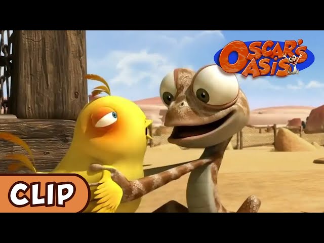 Oscars Oasis - Cartoon fun baby - besten Animationsfilm weltweit