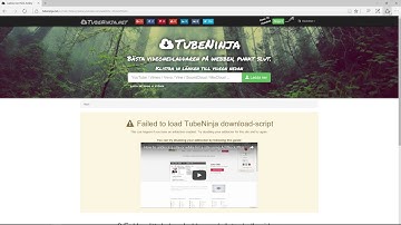 Disable adblock for one single domain in Microsoft Edge