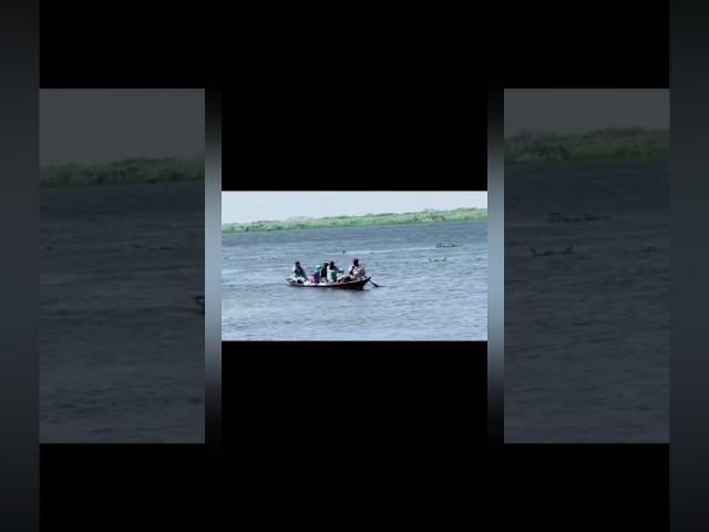 NAATH RESOURCES. #viral #resources