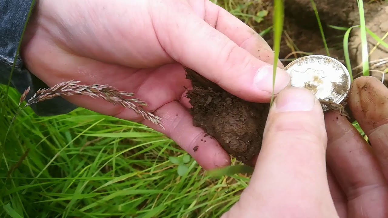 Metal Detecting Ireland. YouTube