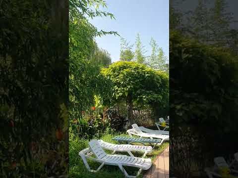 Tskaltubo. Целый день