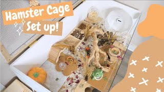 Setting Up a Hamster Cage!