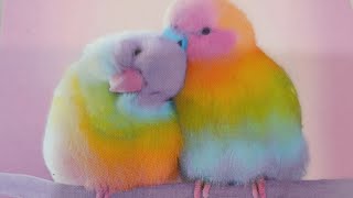 картинка: Кто в Шоке от Вас ⁉️