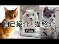 【Vlog】森の家の自己紹介と猫紹介（出身・職業など）Self introduction and cat introduction