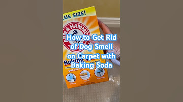 How to Get Rid of Dog Smell from Carpet with Baking Soda #cleaning #asmr #bakingsoda #asmrsounds