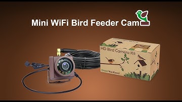 Mini WiFi Bird Feeder Camera Installation and Setup Guide