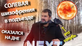 СОЛЬ | ДНО | ШИЗА И Голубь