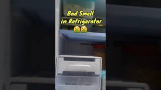 👌Best way to Deodorize Refrigerator🤩🤩 How to keep odor free refrigerator #diy #shorts #tips