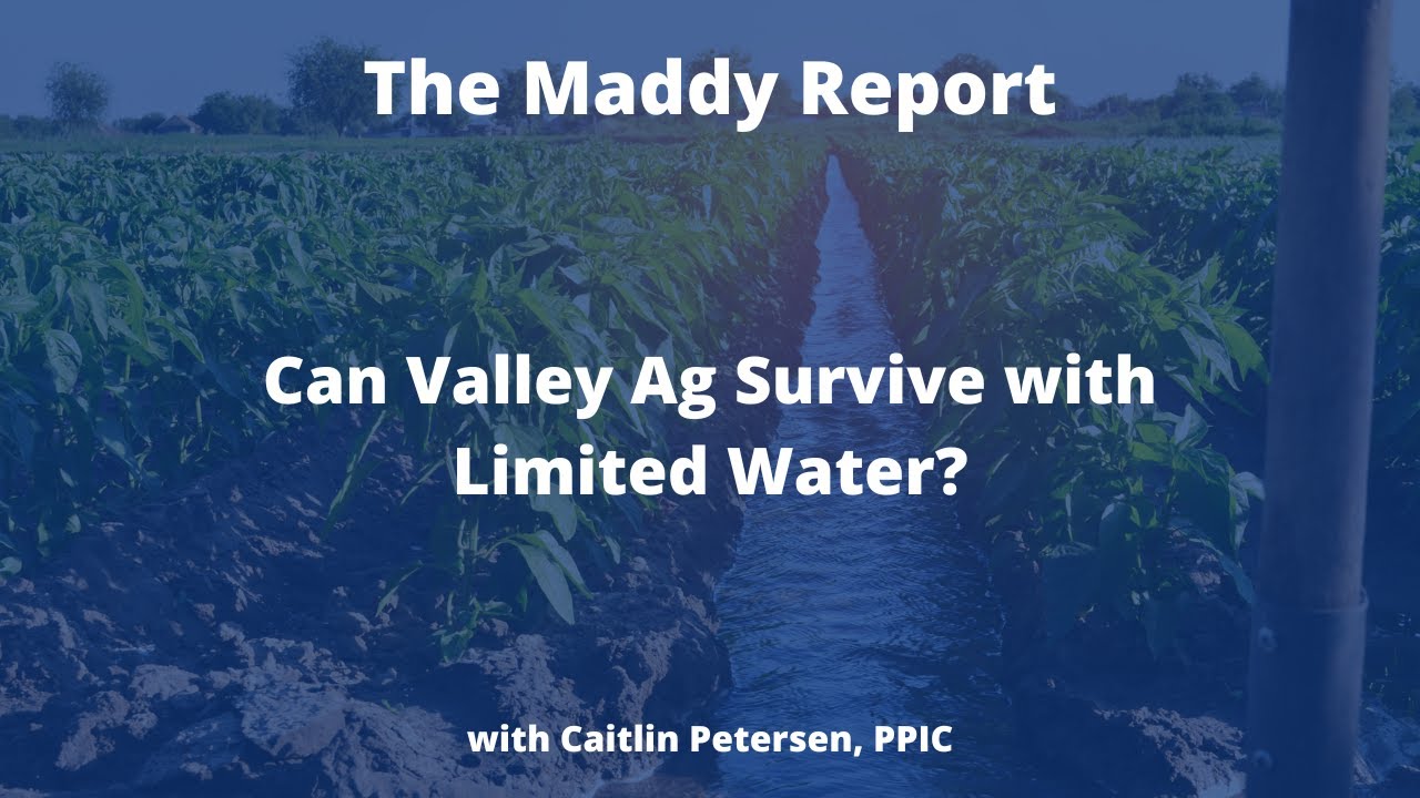 The Maddy Report Can Valley Ag Survive with Limited Water? YouTube