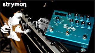 Strymon Big Sky