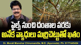 ఫైల్స్ నుంచి దంతాల వరకు అనేక వ్యాధులు మర్రిచెట్టుతో ఖతం Health benefits Marri Chettu in Telugu.