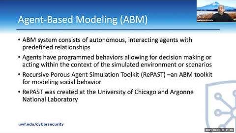 Agent based Modeling of Entity Behavior in Cyberspace