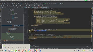 Mybatis 09 Mybatis的多表操作   050完成account一对一操作 建立实体类关系的方式