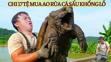 Mua Ao Rùa Cá Sấu Khổng Lồ Giá  17 Tệ – Ông Chủ Tung Chiêu Mỹ Nam Kế Để Ép Giá...