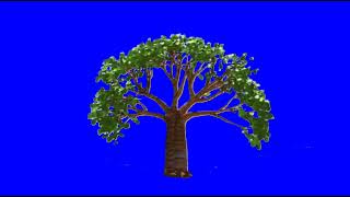 Magic Tree And Magic Blossom Tree Blue Screen