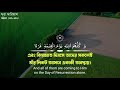 Surah Maryam|Ayat (95-96) Recited By Abdul Rahman Mossad