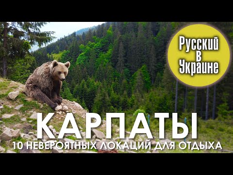 КАРПАТЫ. 10 НЕВЕРОЯТНЫХ мест. Синевир, Шипот, Межгорье, Пилипец / РУССКИЙ В УКРАИНЕ