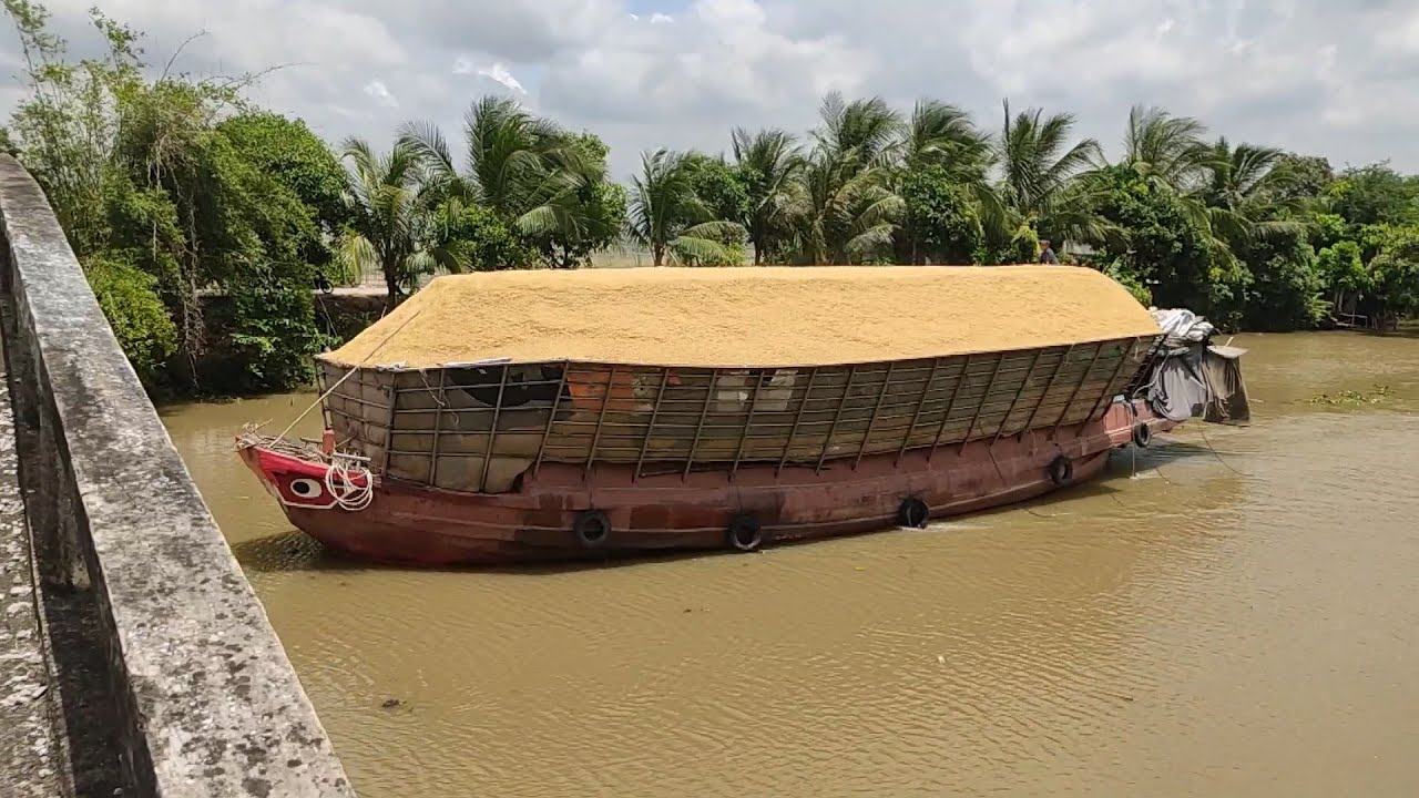 Tổng hợp những nét đẹp của miền quê sông nước, ghe lúa miền Tây. Anh ...