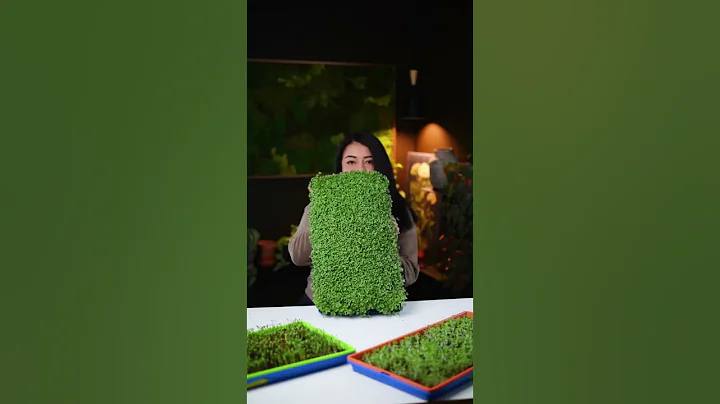 Grow a Tray of Microgreens in Six Days | Bootstrap Farmer