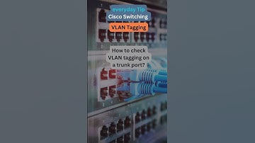 41. #Shorts Verify VLAN Tagging!