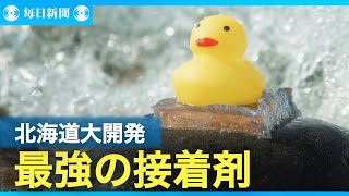 ゾウがぶらさがってもはがれない　超強力な接着剤を開発　北海道大